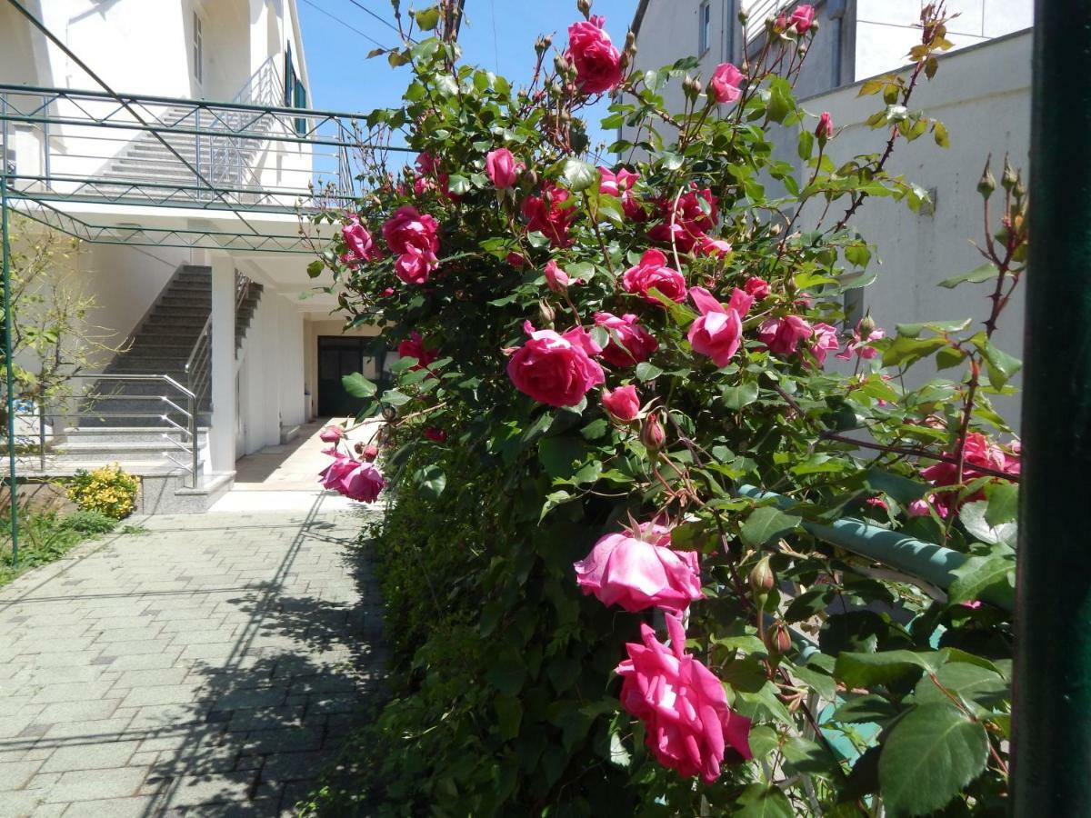 Lemon tree apartments Zadar Extérieur photo